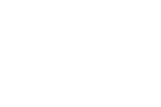 Logo FELOGI